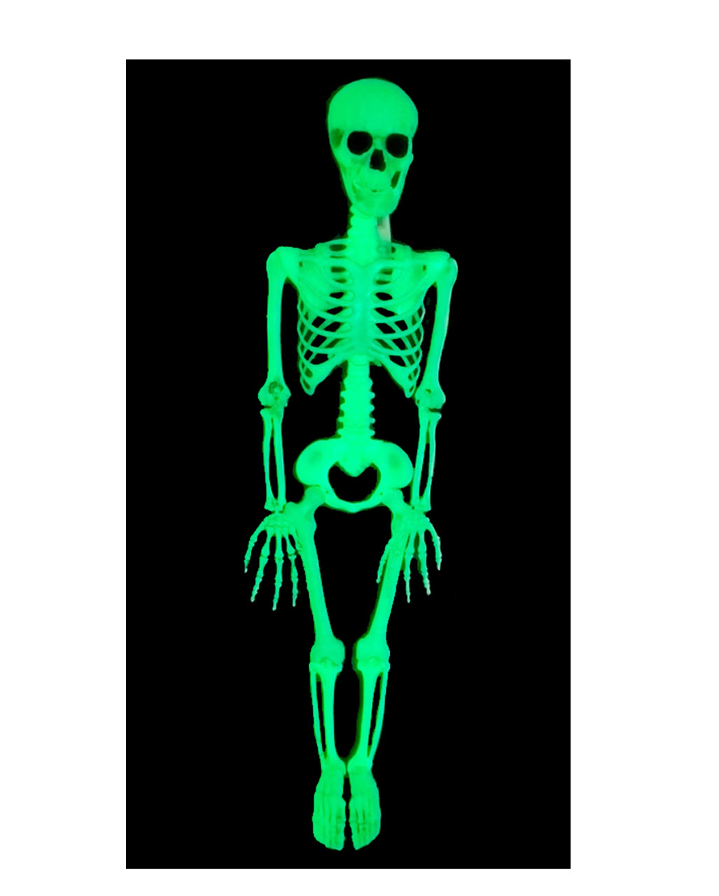 Glow in the Dark Halloween-Skelett 90cm