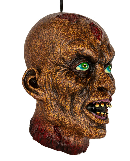 Verfaulter Zombieschädel als Halloween Deko 25cm