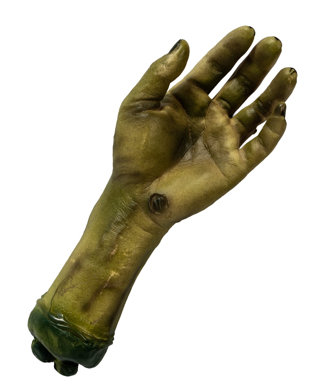Vermoderte Abgehackte Zombie Hand 25cm