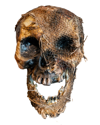 Vermoderter Totenkopf mit offenem Kiefer 22cm