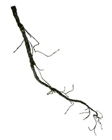 Vertrocknete Friedhofs Ranke als Deko 192 cm