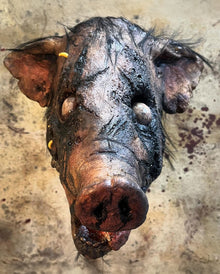 Verottende Kadaver Schweine Maske
