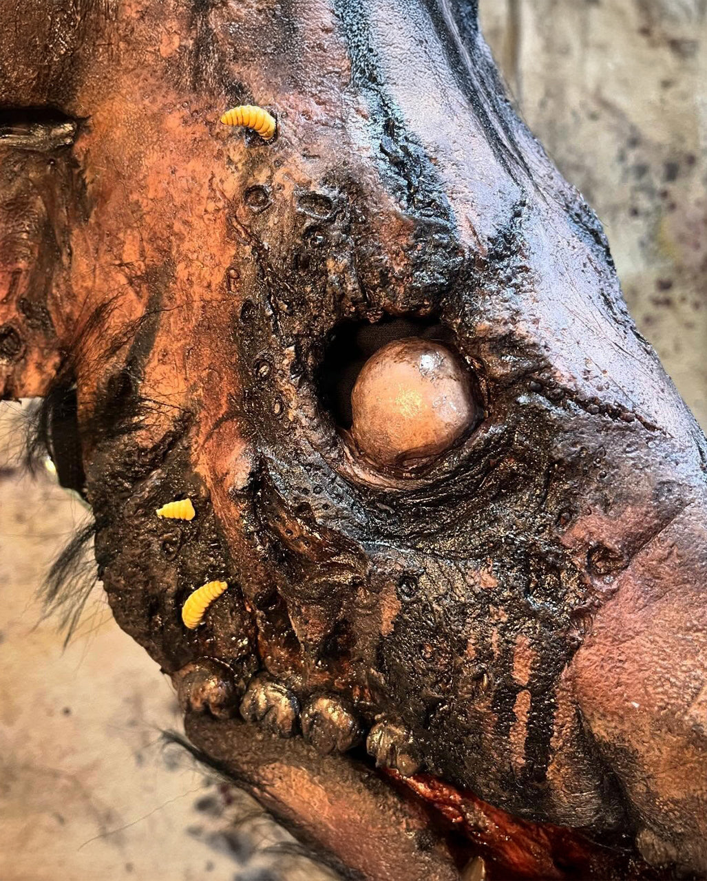 Verottende Kadaver Schweine Maske