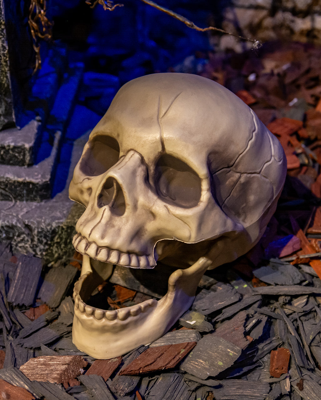 Realistischer Totenkopf mit beweglichem Kiefer 20cm