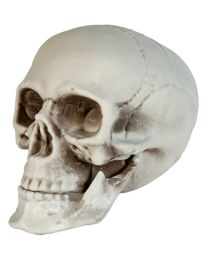 Wetterfester Totenkopf mit beweglichem Kiefer 20cm