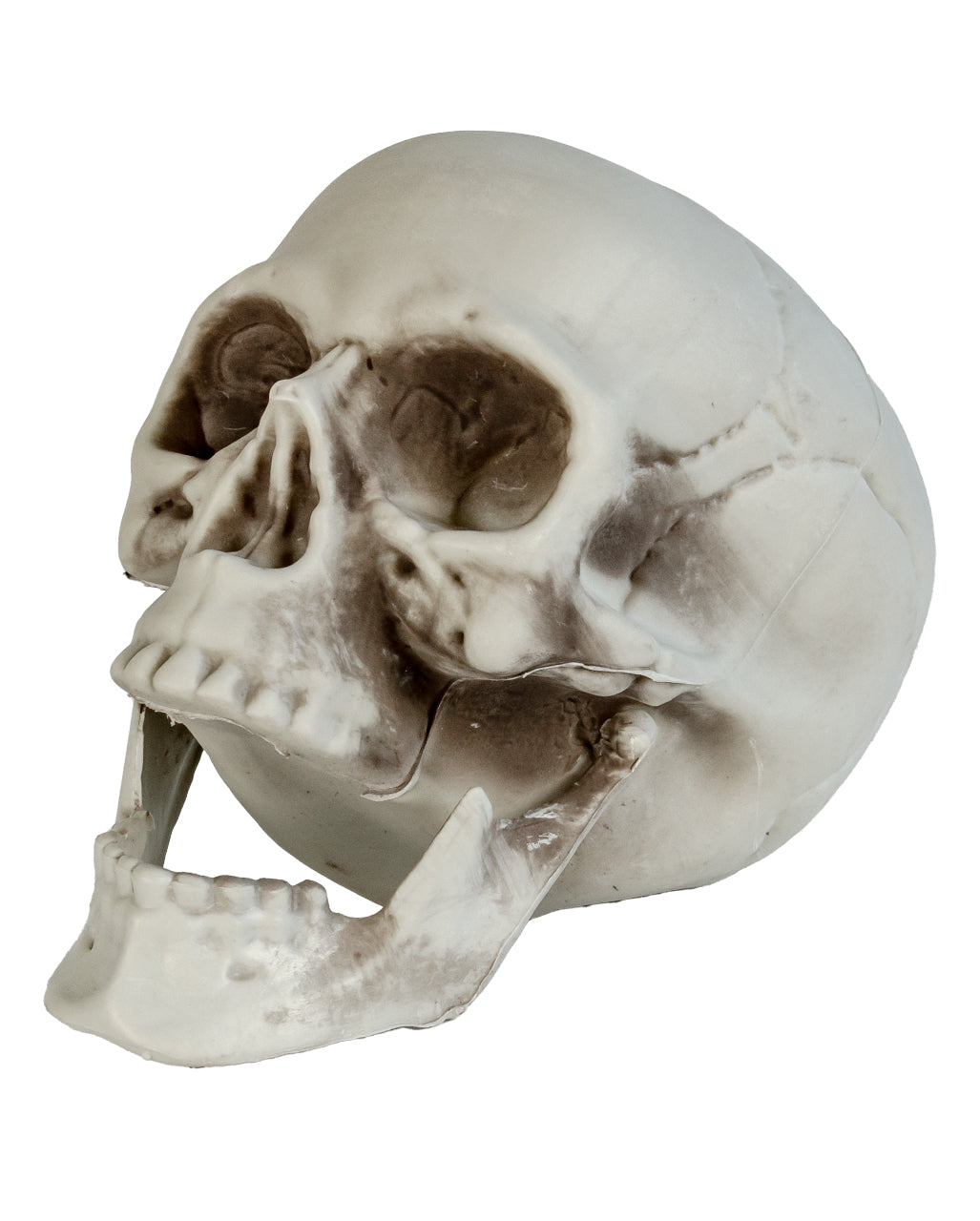 Wetterfester Totenkopf mit beweglichem Kiefer 20cm
