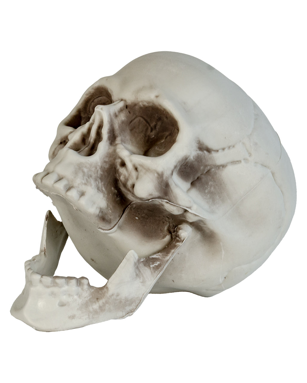 Wetterfester Totenkopf mit beweglichem Kiefer 20cm