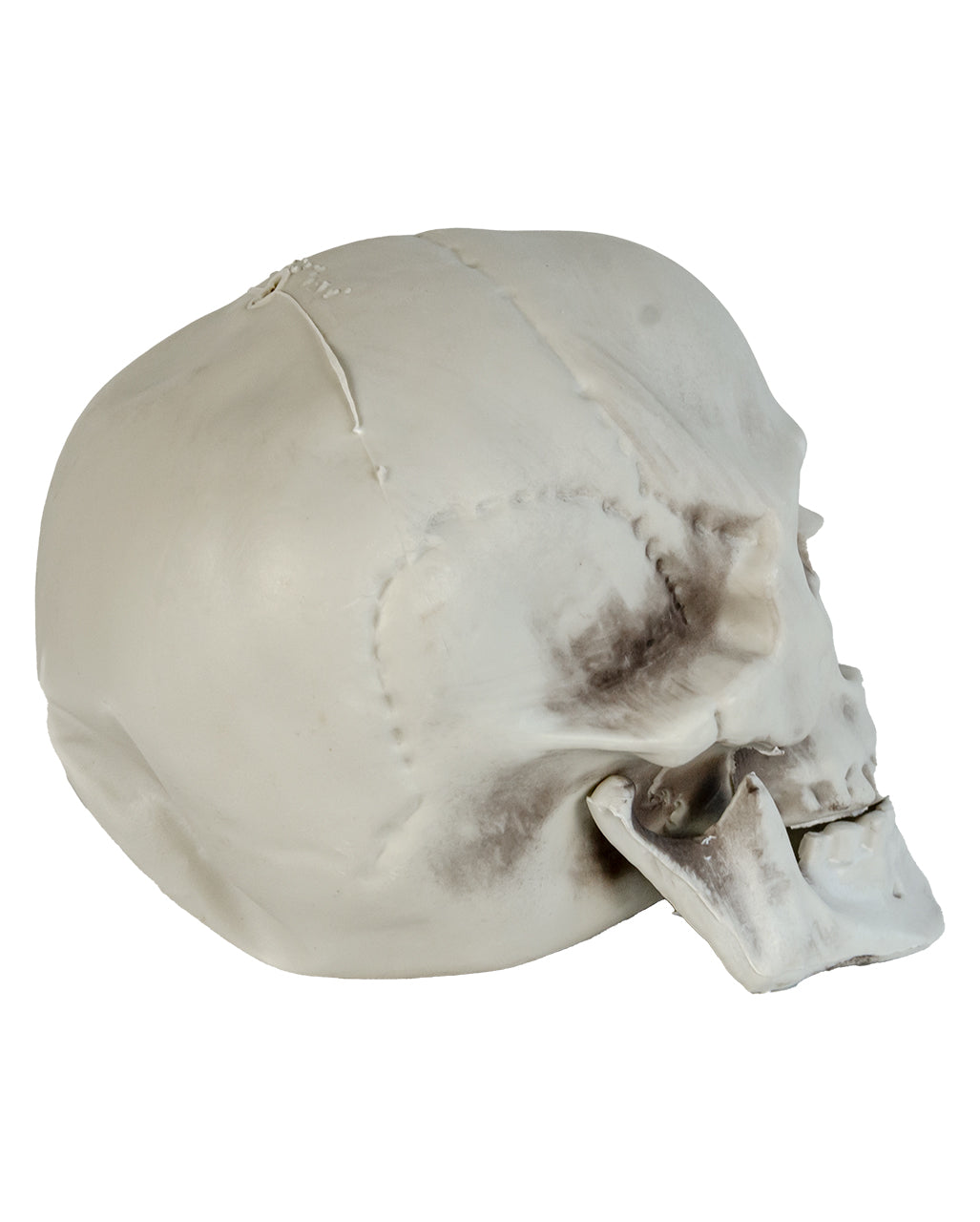Wetterfester Totenkopf mit beweglichem Kiefer 20cm