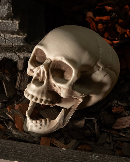 Wetterfester Totenkopf mit beweglichem Kiefer 20cm