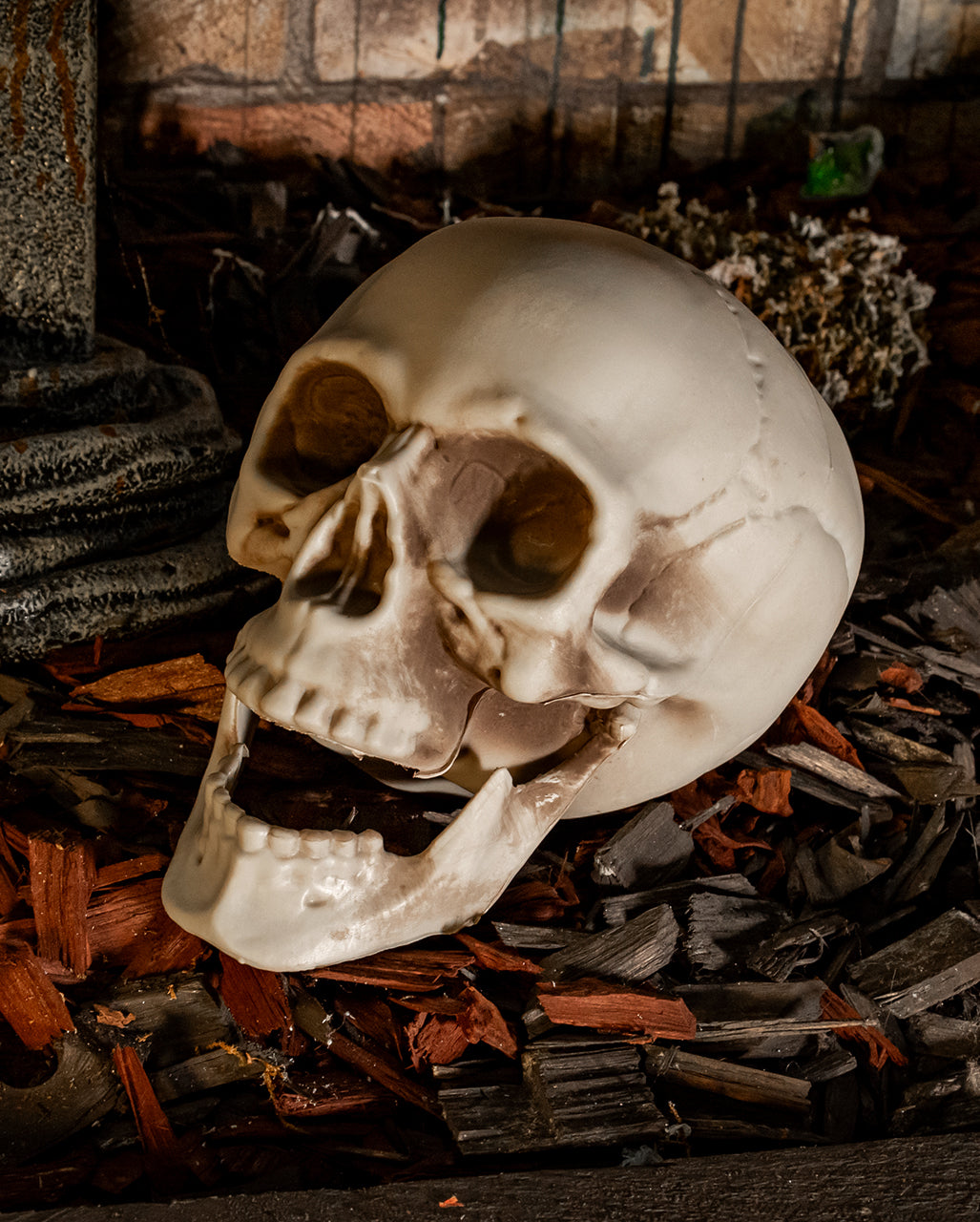 Wetterfester Totenkopf mit beweglichem Kiefer 20cm