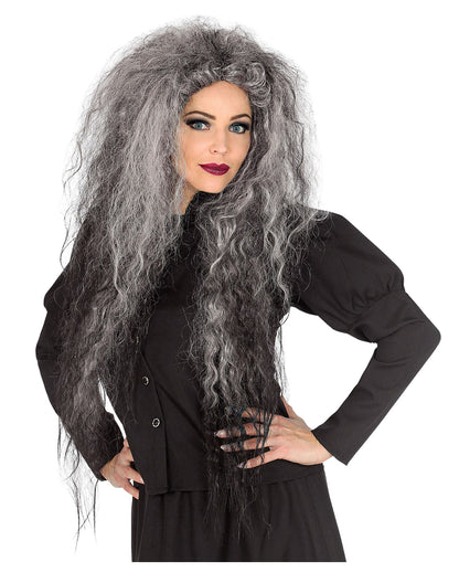 Wild Witches Wig Grey