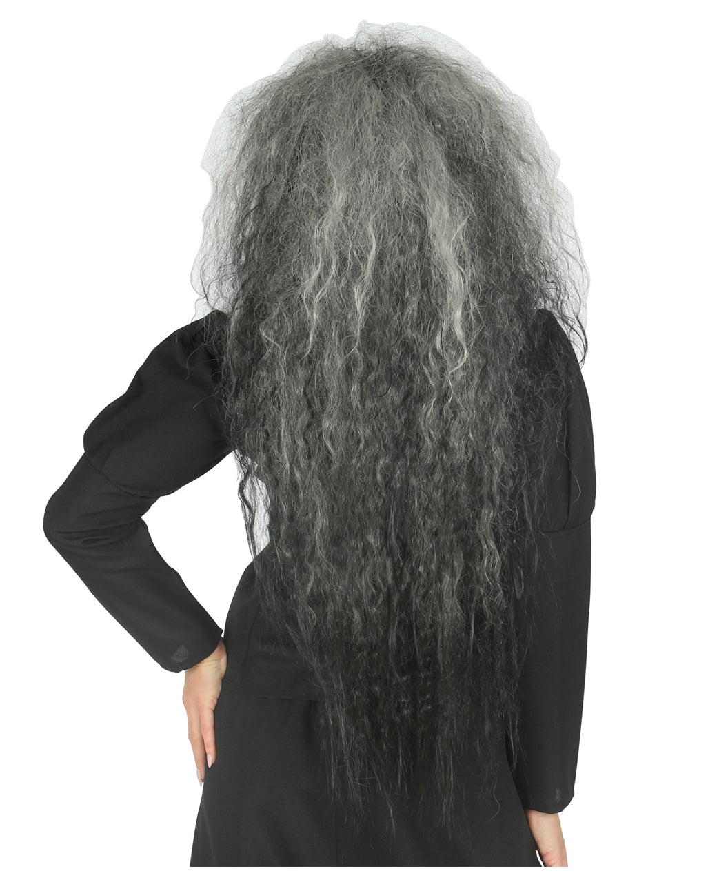 Wild Witches Wig Grey