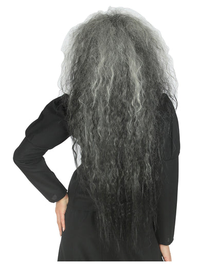 Wild Witches Wig Grey