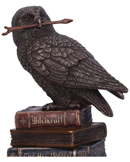 Zaubernde Eule auf Bücherstapel 14cm